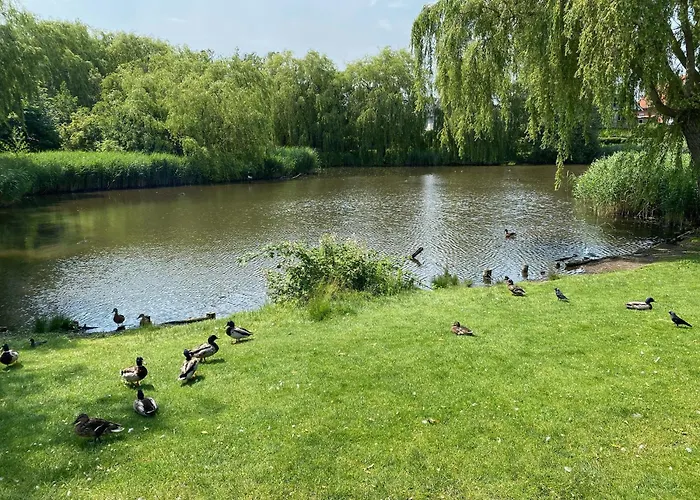 Lejlighed Charming With View, Tennis Court- 5 Minutes From Center *